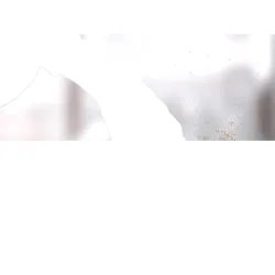 Electrolux Accessori Cappa Raschietto Per Piani Cottura In Vetroceramica E Ad Induzione. E6HUE103