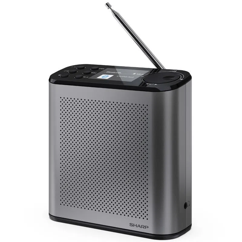 Sharp osaka dr-p530(gy) - radio digitale portatile - dab/dab+ - 2.4 slide show display - bluetooth 5.3 - storm grey