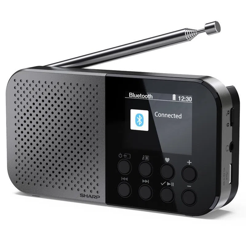 Sharp dr-p520(gy) radio digitale portatile display lcd bluetooth lettore audio mono dab+/fm doppia sveglia grigio