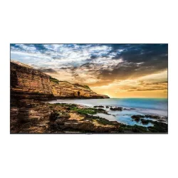 Samsung qe50t direct led blu display 50`` 3840x2160 pixel