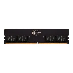 Team group elite ted516g5600c4601 memoria 16 gb 1 x 16 gb ddr5 5600 mhz