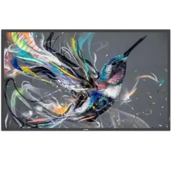 Philips 50bdl3511q-00 display 50`` q-line 18-7 4k ultra hd basic failover usb auto play smart player lan