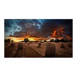 Samsung monitor samsung vm46b-u per videowall 46