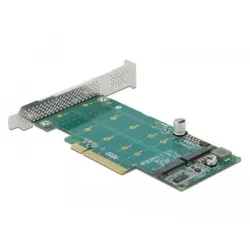 Delock 89045 scheda di interfaccia e adattatore interno m.2