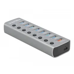 Delock 63264 hub di interfaccia usb 3.2 gen 1 (3.1 gen 1) type-b grigio