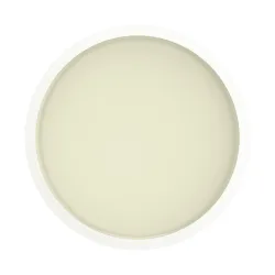 Riserva Supporto Popsockets Vanilla Dream, Set 2 pezzi