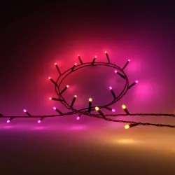 Philips Hue White & Color Ambiance Stringa Di Luci festavia