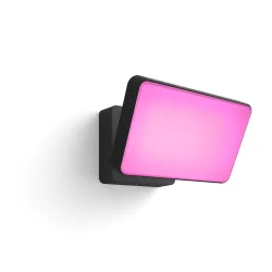 Philips Hue White & Color Ambiance Proiettore Per Esterni Discover - Nero