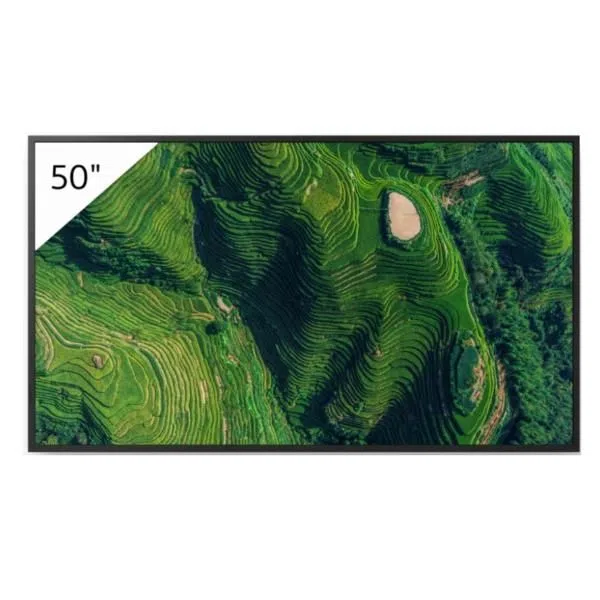 Sony 50 PRO BRAVIA 500NIT DBNG 24/7 4548736172944