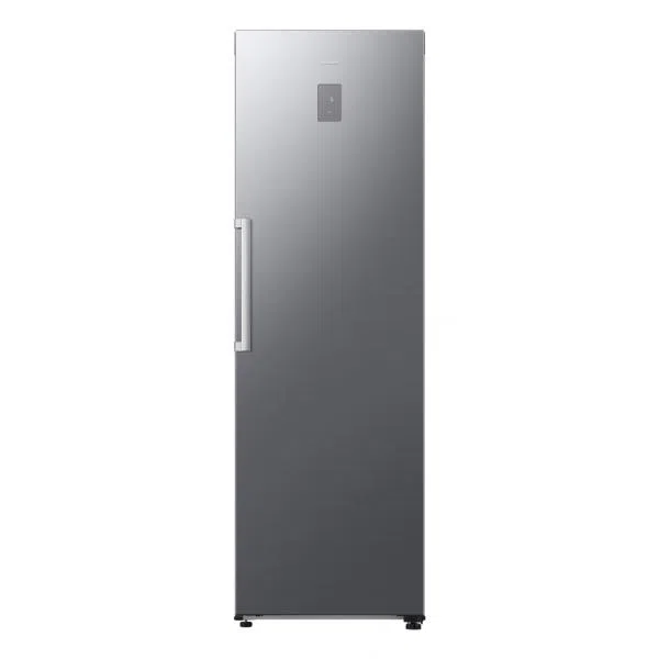 Samsung RR70H39CCTEF frigorifero Libera installazione 387 L Argento Argento