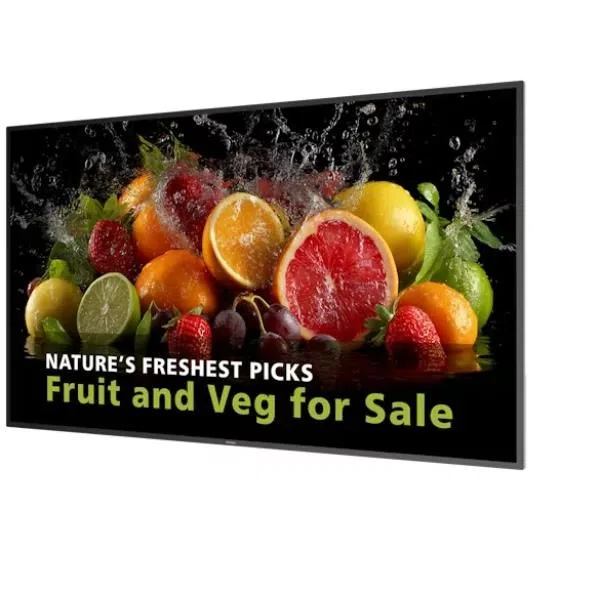 Philips 65 MONITOR UHD 24/7 600 NITS 8721038102284