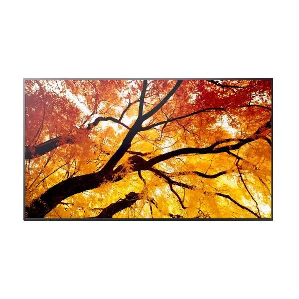 Sharp Display Solutions MULTISYNC M502 4550556131032