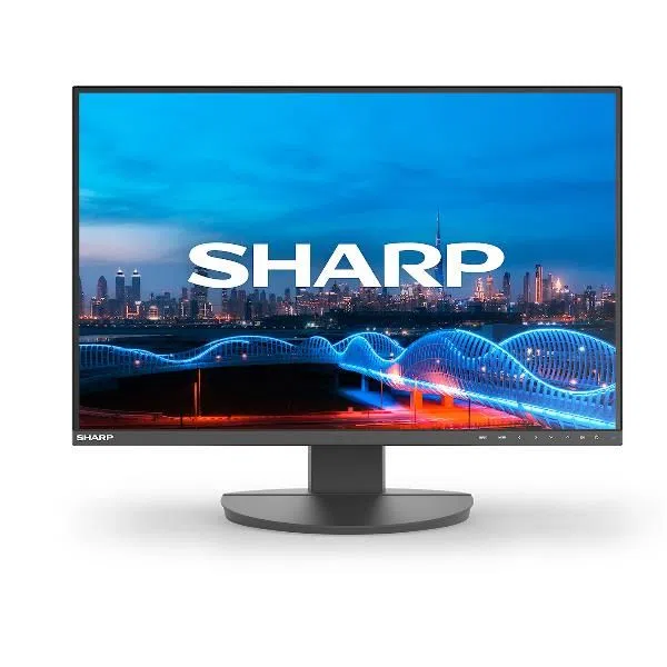 Sharp Display Solutions MULTISYNC DD-EA241W 4550556177474 — 2