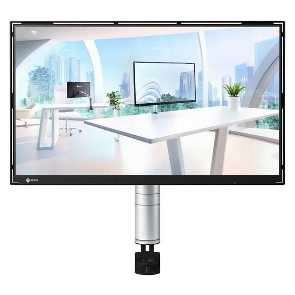 Eizo FLT FLEXSCAN 24 IPS LCD ECO 4995047068907 — 2