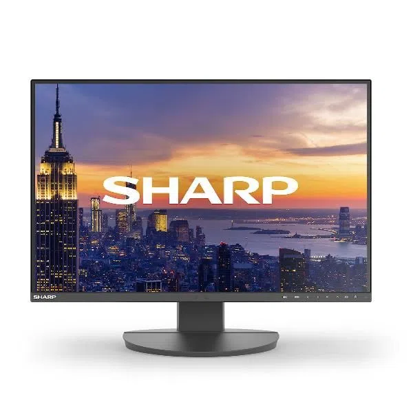 Sharp Display Solutions MULTISYNC DD-EA242W 4550556177443 — 2