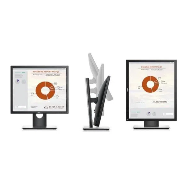 Dell Technologies DELL 19 MONITOR - P1917S 5397184200384 — 2