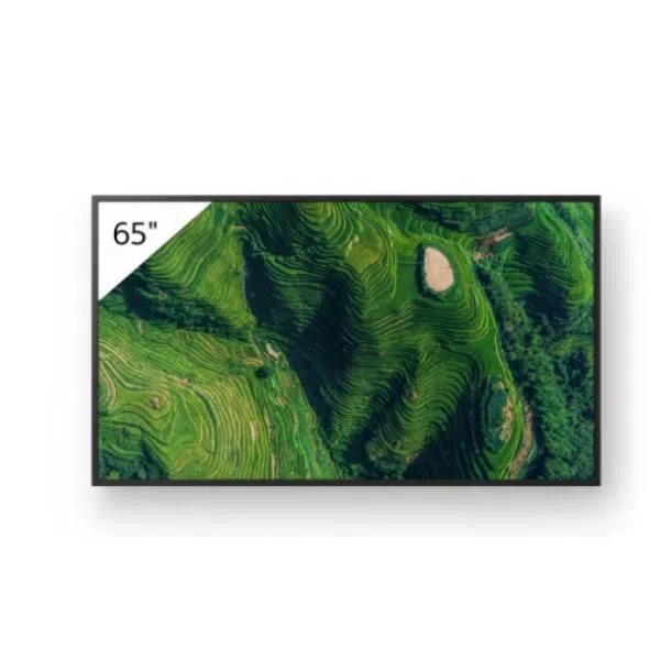 Sony 65 PRO BRAVIA 500NIT DBNG 24/7 4548736172920