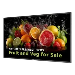 Philips 43 MONITOR UHD 24/7 600 NITS 8721038102253