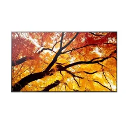 Sharp Display Solutions MULTISYNC M432 4550556131018