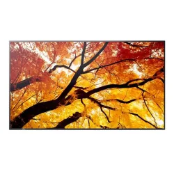 Sharp Display Solutions MULTISYNC M322 4550556176682