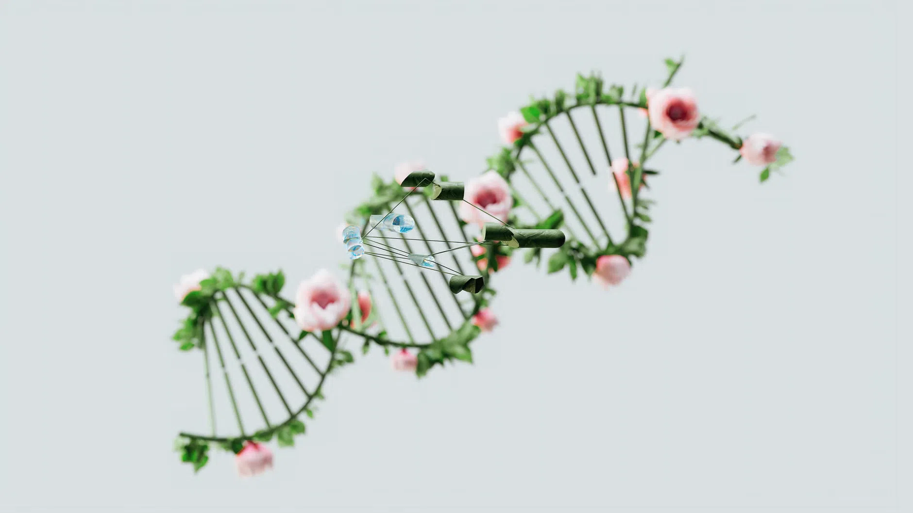Biometria e genetica: come i database del DNA ricongiungono le famiglie