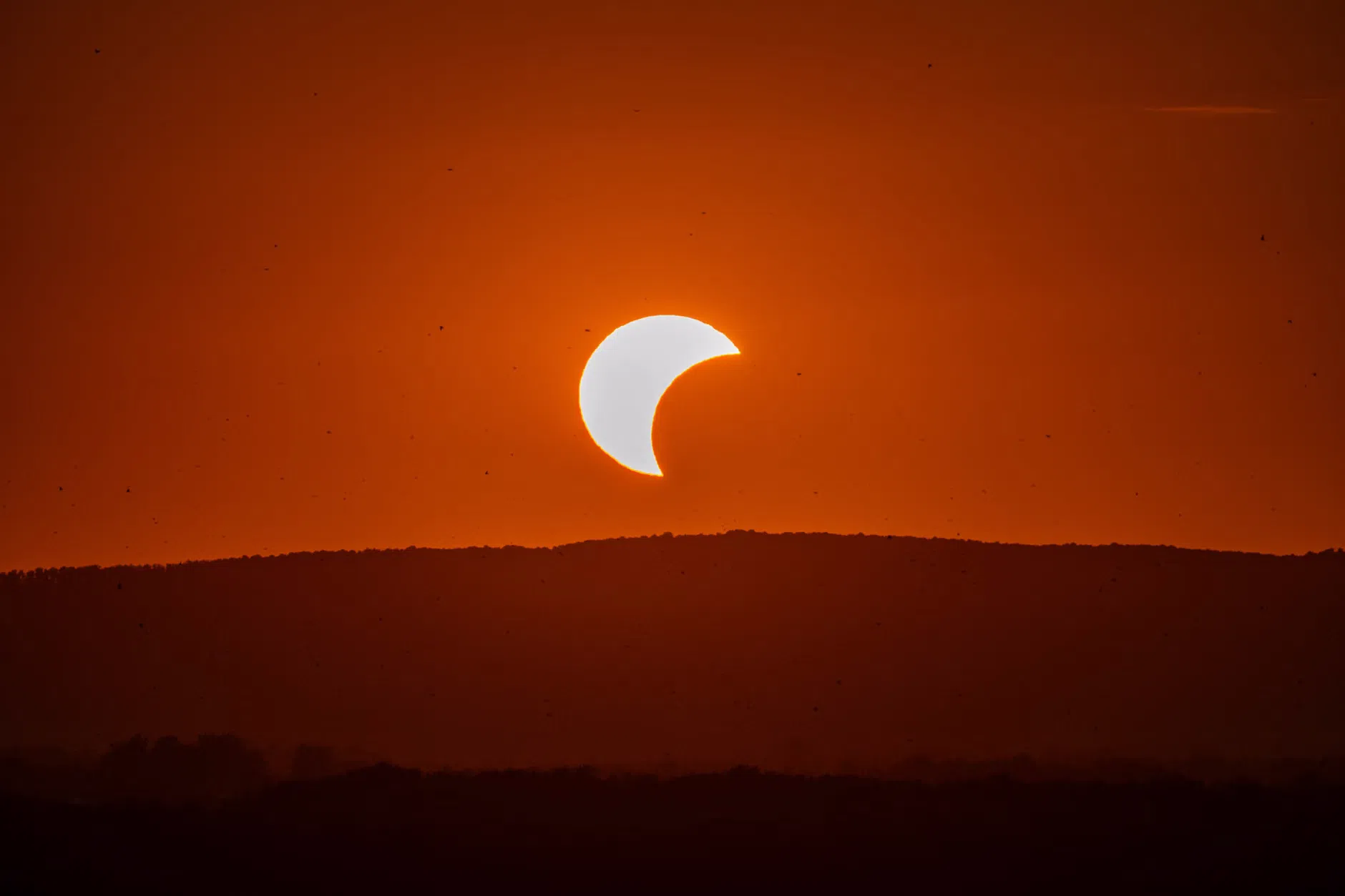 Come fotografare l'eclissi solare senza danneggiare i dispositivi