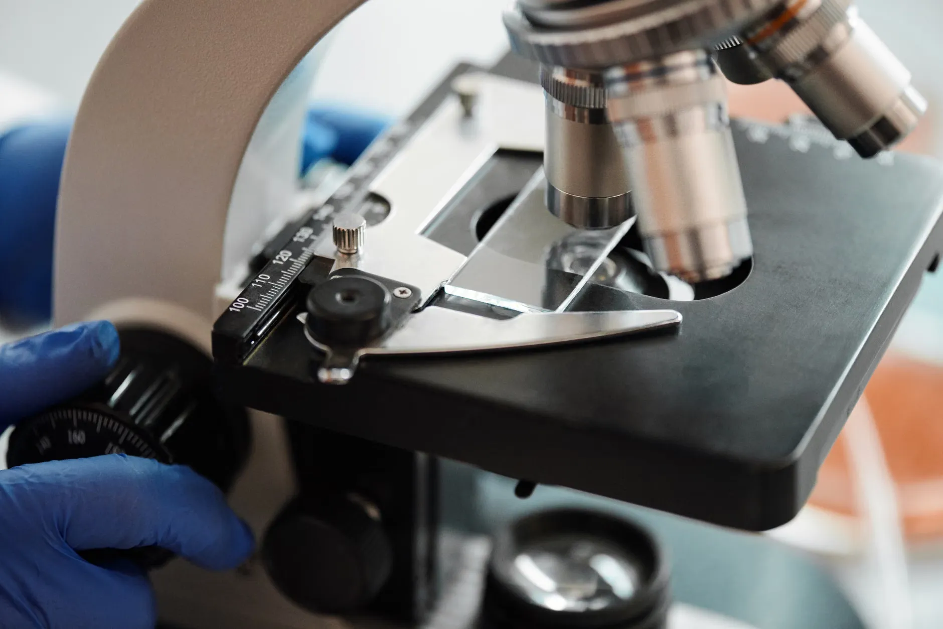 Il MIT sviluppa un microscopio ottico per mappare i neuroni in tempo reale