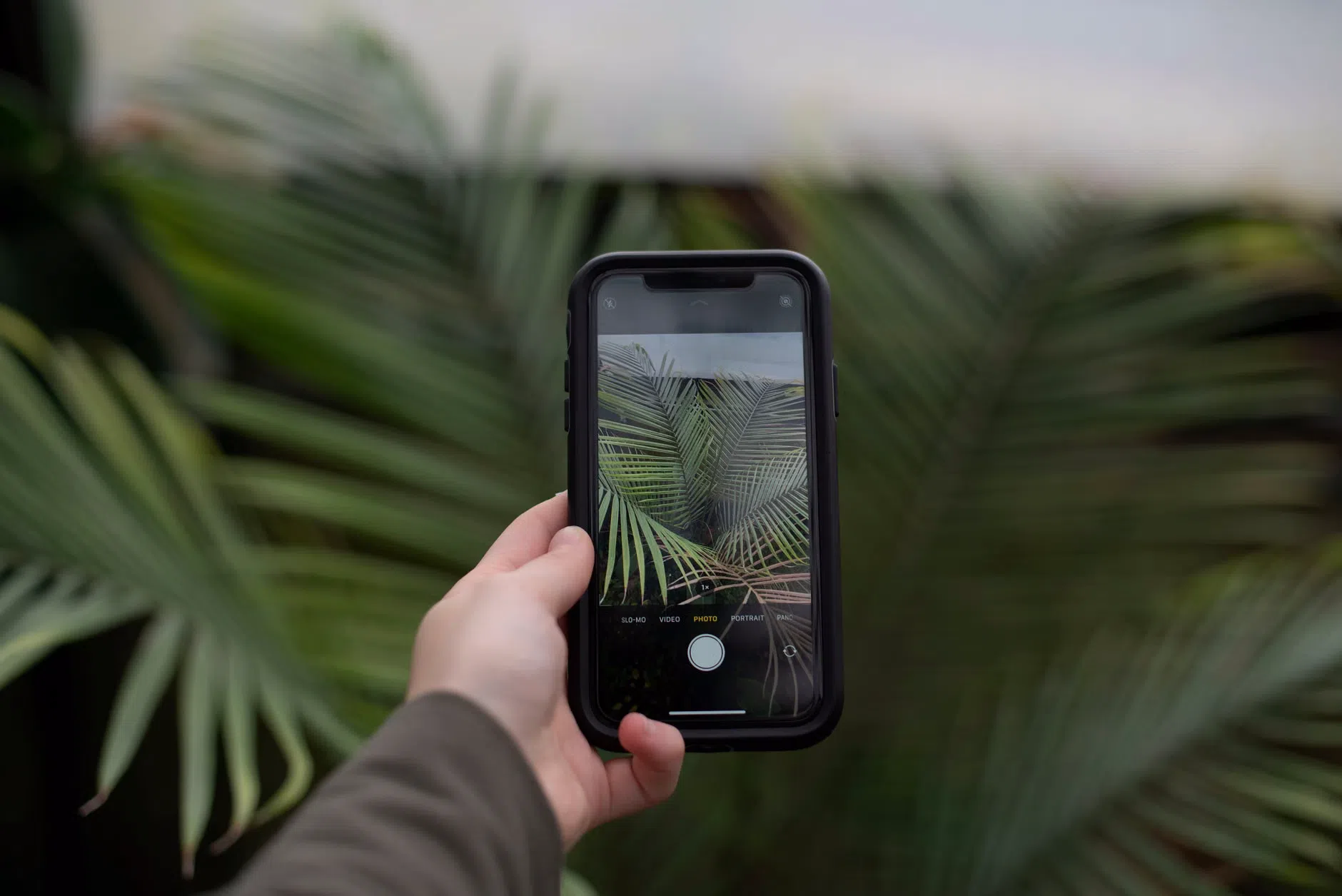 Come scegliere l'app giusta per identificare oggetti con lo smartphone