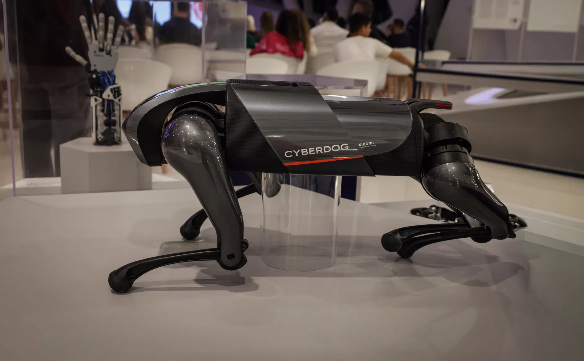 AI: la paura dell'estinzione e cosa cambia per l'utente italiano