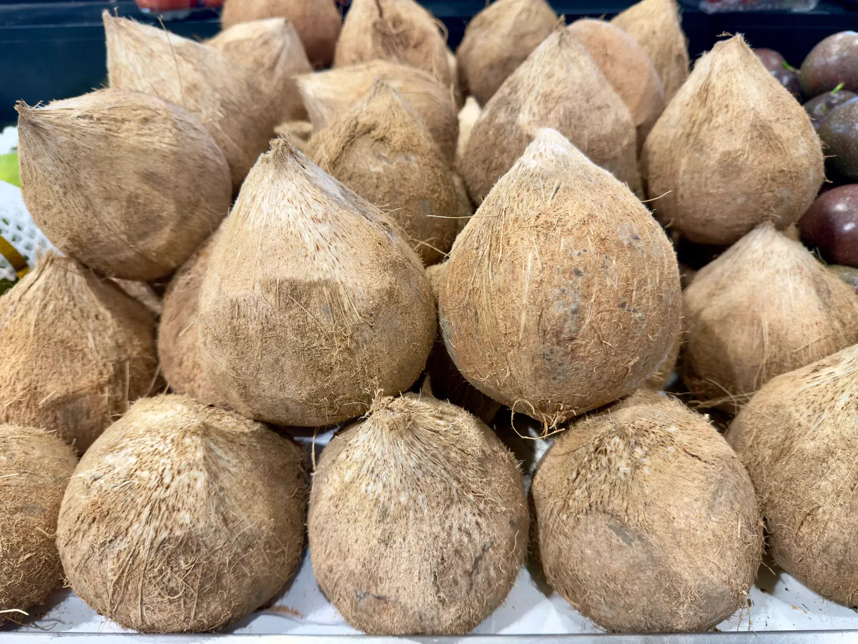 Tribunale respinge reclamo Tim: i prezzi wholesale di FiberCop restano sotto Agcom