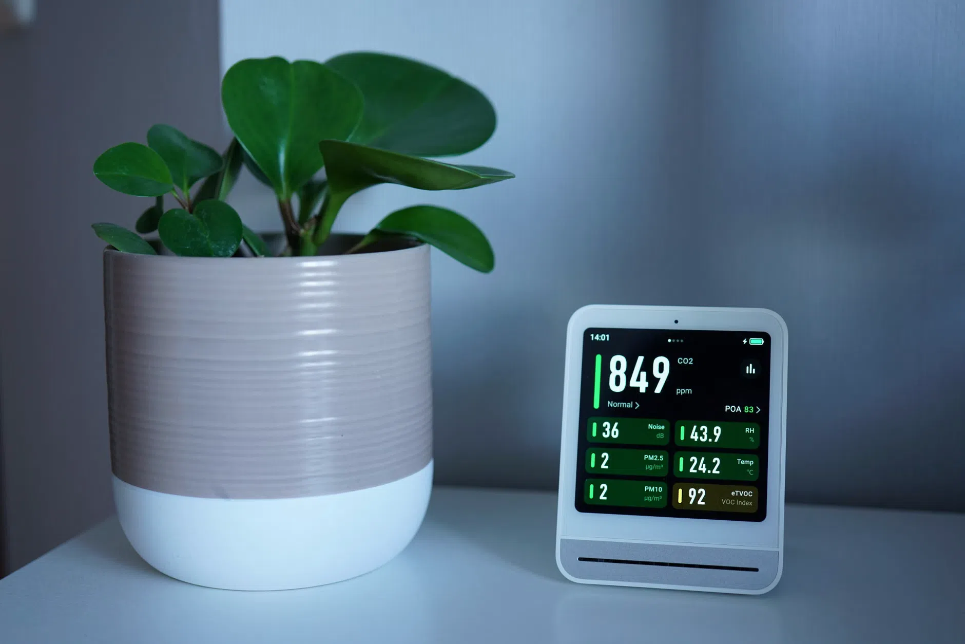 Levoit Vital Pet Pro: purificatore d’aria auto‑pulente per animali