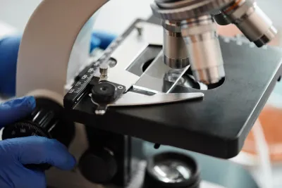 Il MIT sviluppa un microscopio ottico per mappare i neuroni in tempo reale