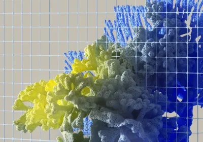 Claude Opus 5.5: l'intelligenza artificiale diventa più veloce ed economica