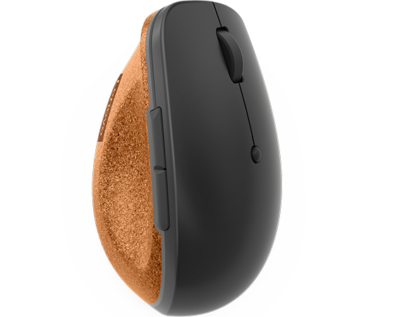 Lenovo Go