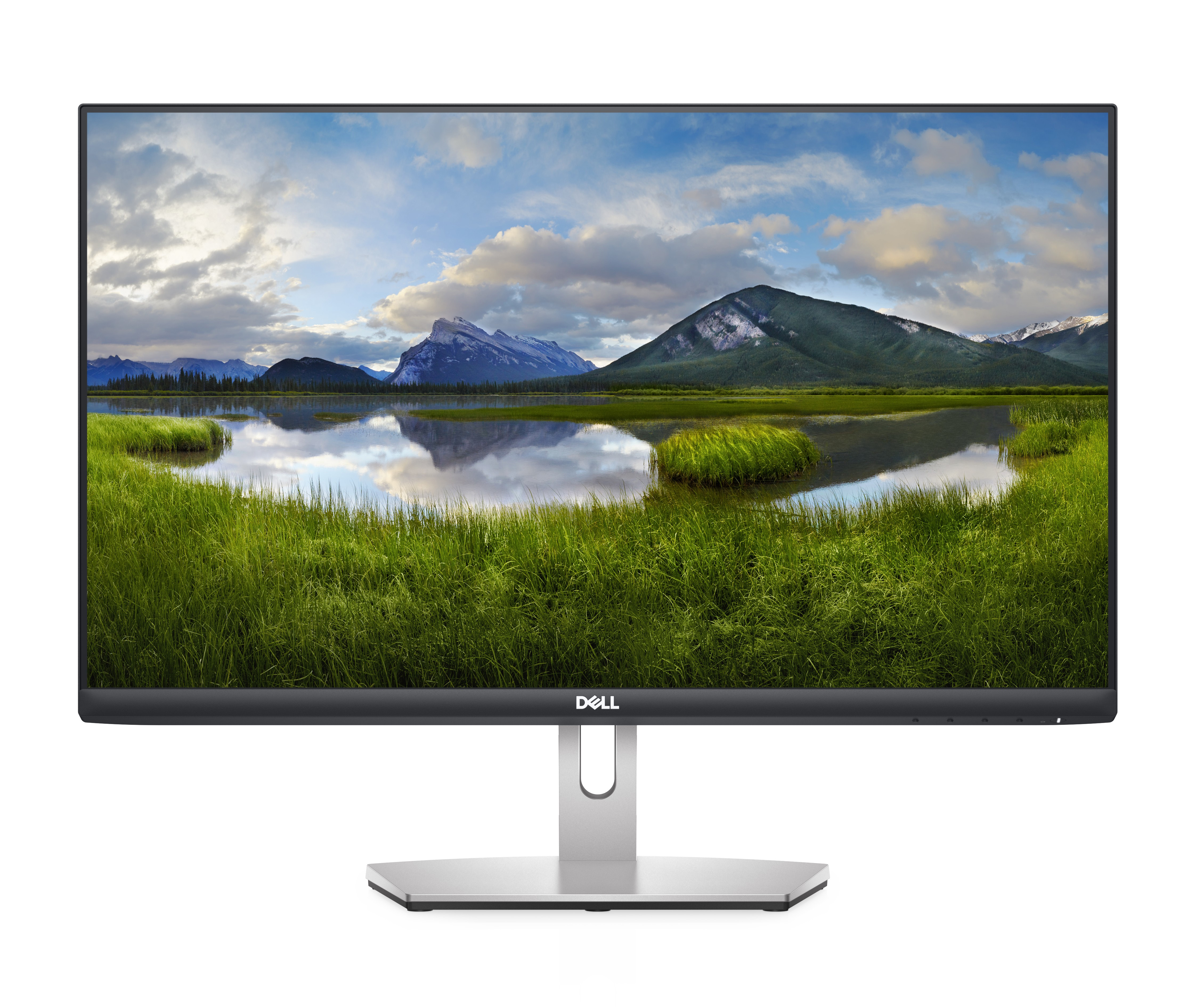 DELL Monitor 24 - S2421HN